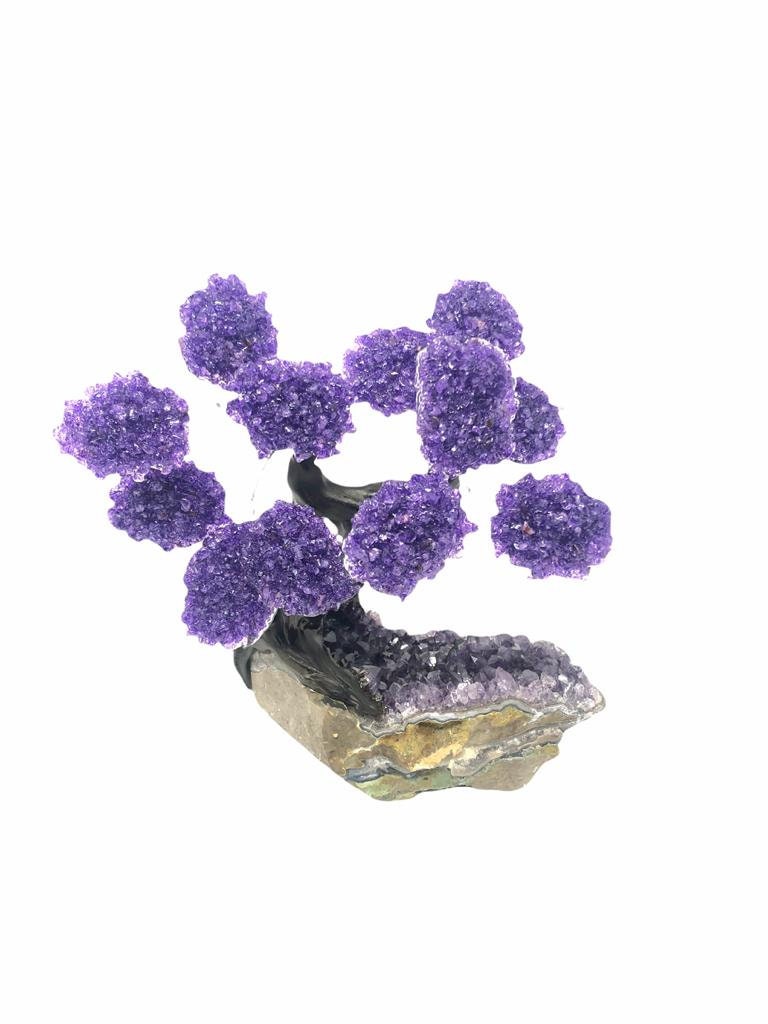 XLarge 12 Branch  Amethyst Gemstone Tree on Amethyst Matrix  (The Relaxation Tree)