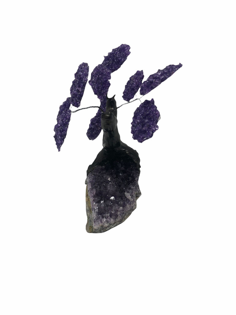 XLarge 12 Branch  Amethyst Gemstone Tree on Amethyst Matrix  (The Relaxation Tree)
