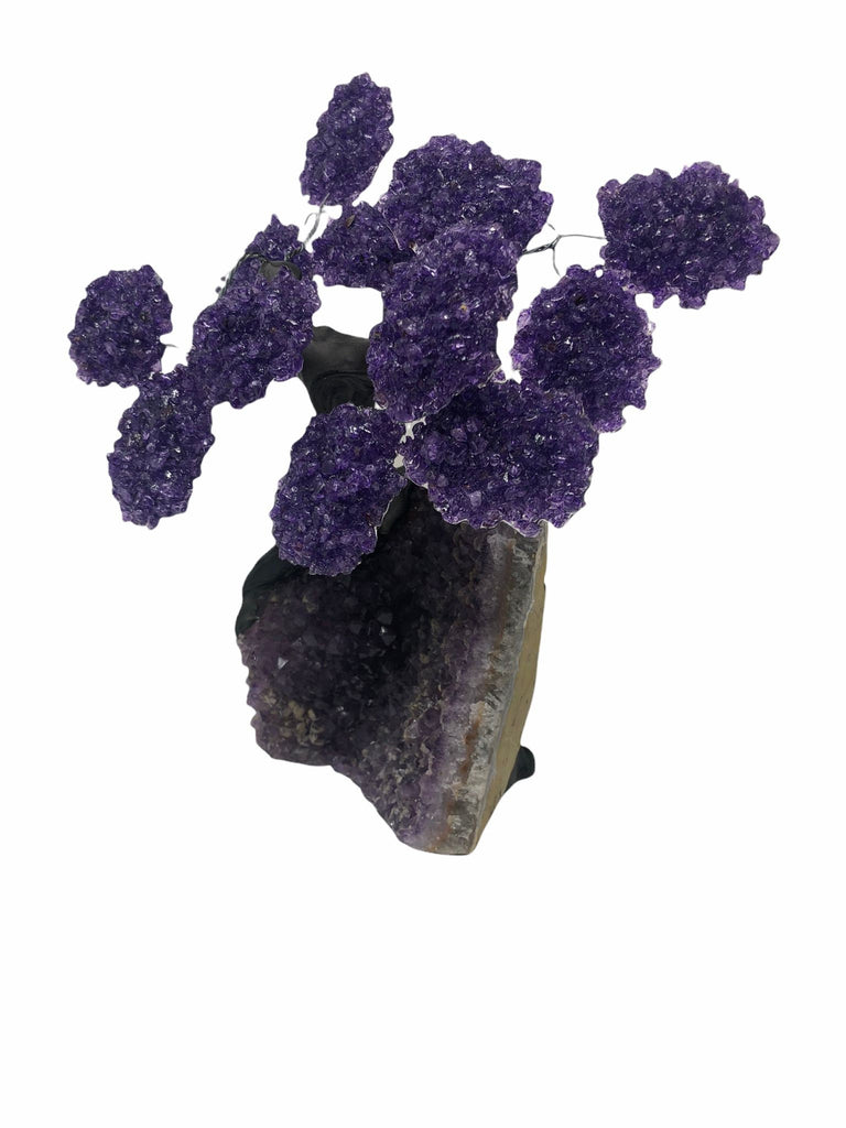 XLarge 12 Branch  Amethyst Gemstone Tree on Amethyst Matrix  (The Relaxation Tree)