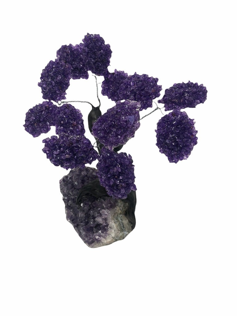 XLarge 12 Branch  Amethyst Gemstone Tree on Amethyst Matrix  (The Relaxation Tree)