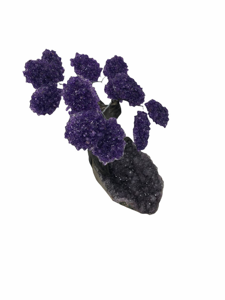 XLarge 12 Branch  Amethyst Gemstone Tree on Amethyst Matrix  (The Relaxation Tree)