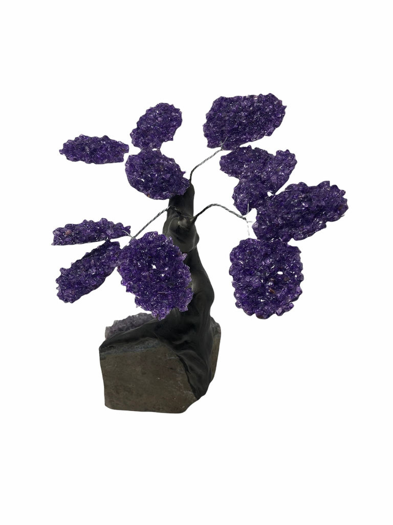 XLarge 12 Branch  Amethyst Gemstone Tree on Amethyst Matrix  (The Relaxation Tree)