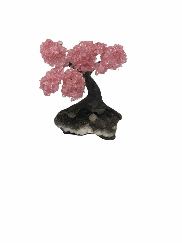 Large Rose Quartz Clustered Gemstone Tree 15 Branches  (The Relaxation Tree)