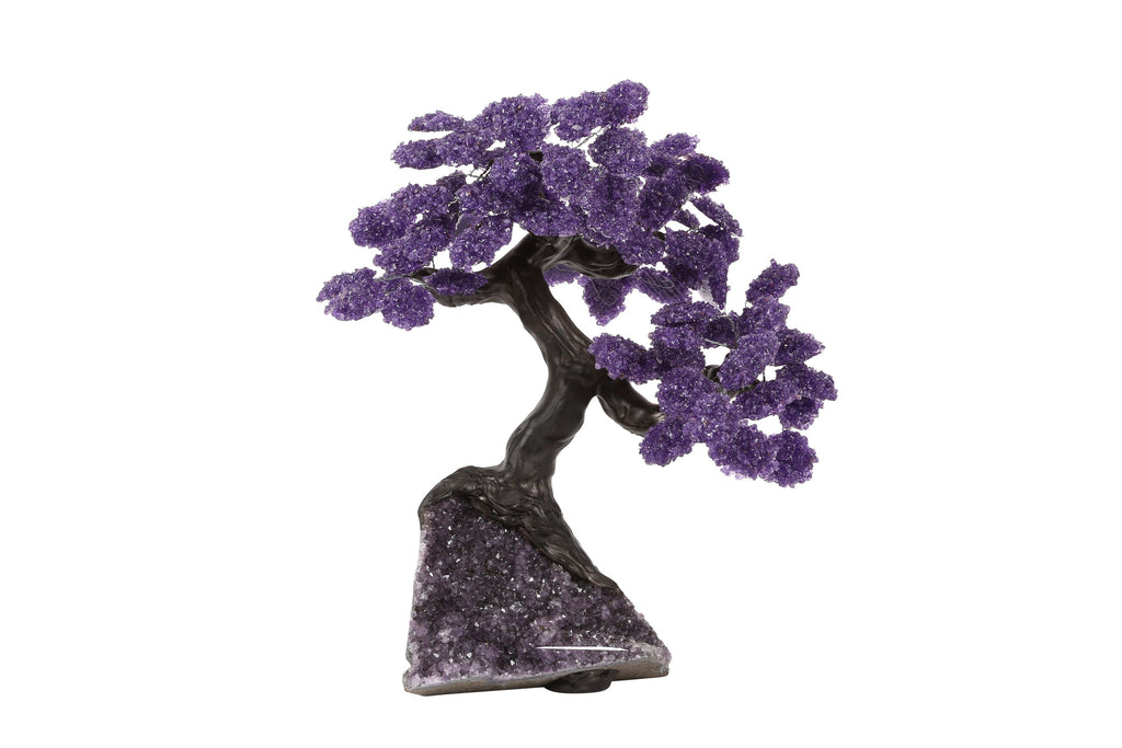 XXLarge Amethyst Clustered Gemstone Tree on Amethyst Geode Matrix (The Relaxation Tree) 42