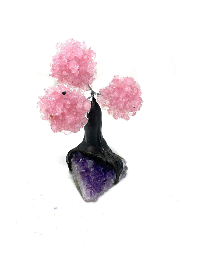 XSmall Rose Quartz Clustered Gemstone Tree on Amethyst Geode (The Relaxation Tree) 48hrs Tracked Delivery *Free*