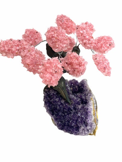 XLarge 12 Branch Rose Quartz Gemstone Tree on Amethyst Geode (The Relaxation Tree)