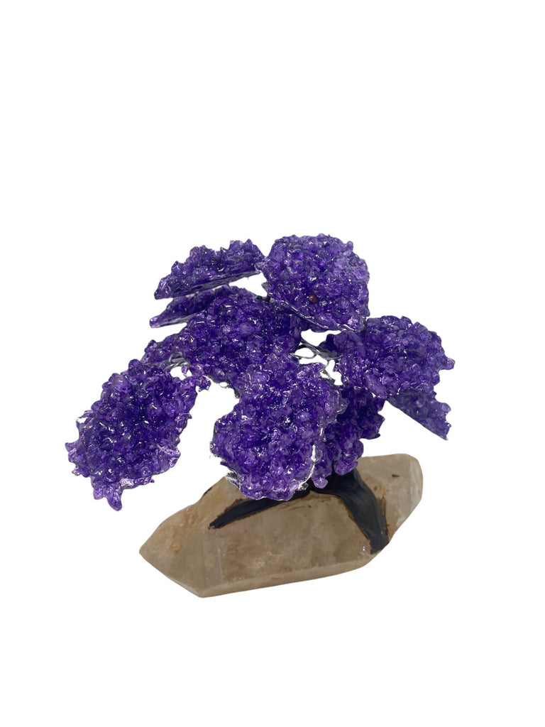 15 Branch Large Amethyst Clustered Gemstone Tree on Clear quartz point   (Next day Free shipping order before 2pm)