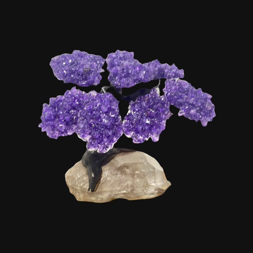 Large Amethyst Clustered  on a Clear quartz point  Tree 15 Branches