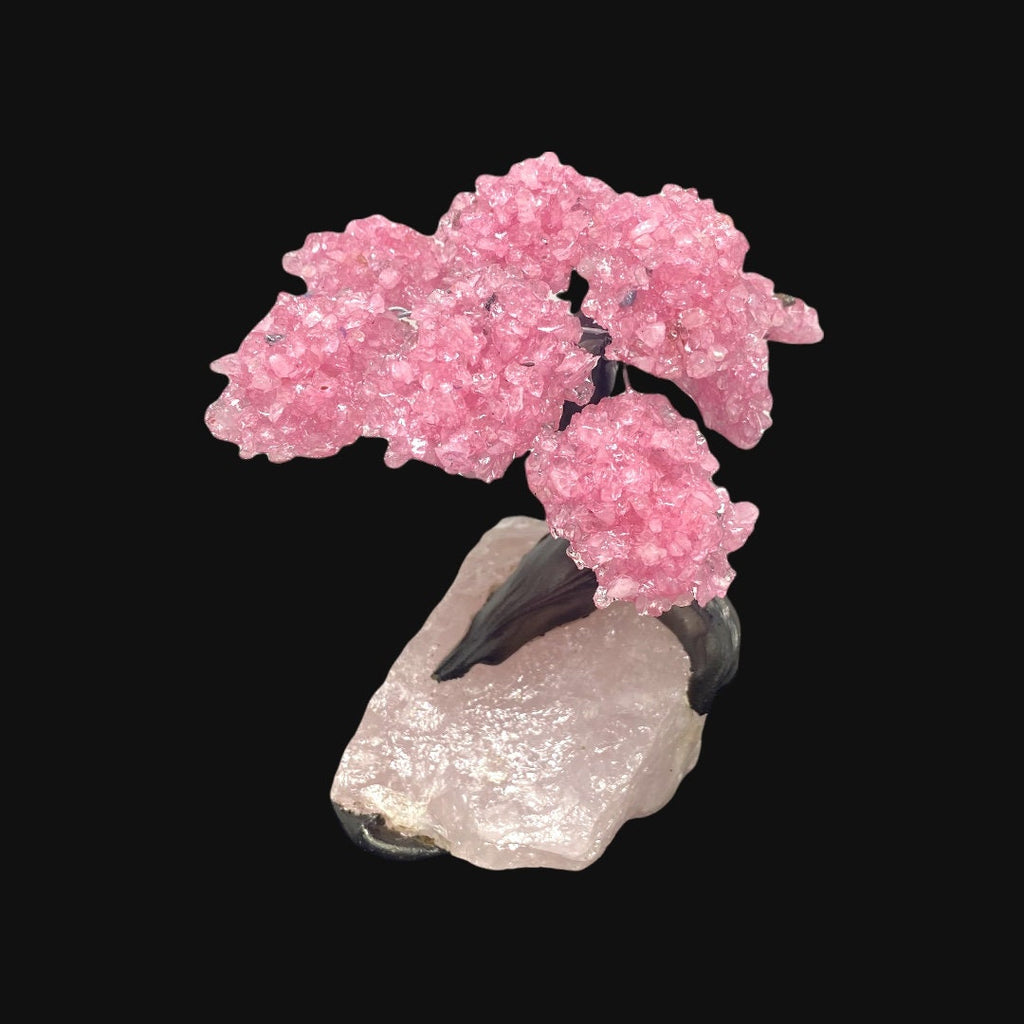 9 Branch Medium Rose Quartz Clustered Gemstone Tree on Rose Quartz Rough  (The Relaxation Tree)