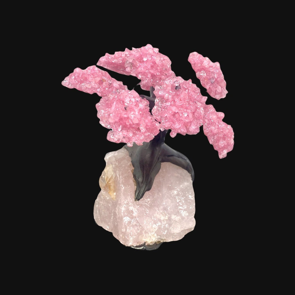 9 Branch Medium Rose Quartz Clustered Gemstone Tree on Rose Quartz Rough  (The Relaxation Tree)