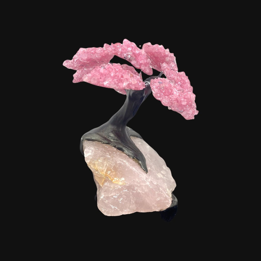 9 Branch Medium Rose Quartz Clustered Gemstone Tree on Rose Quartz Rough  (The Relaxation Tree)