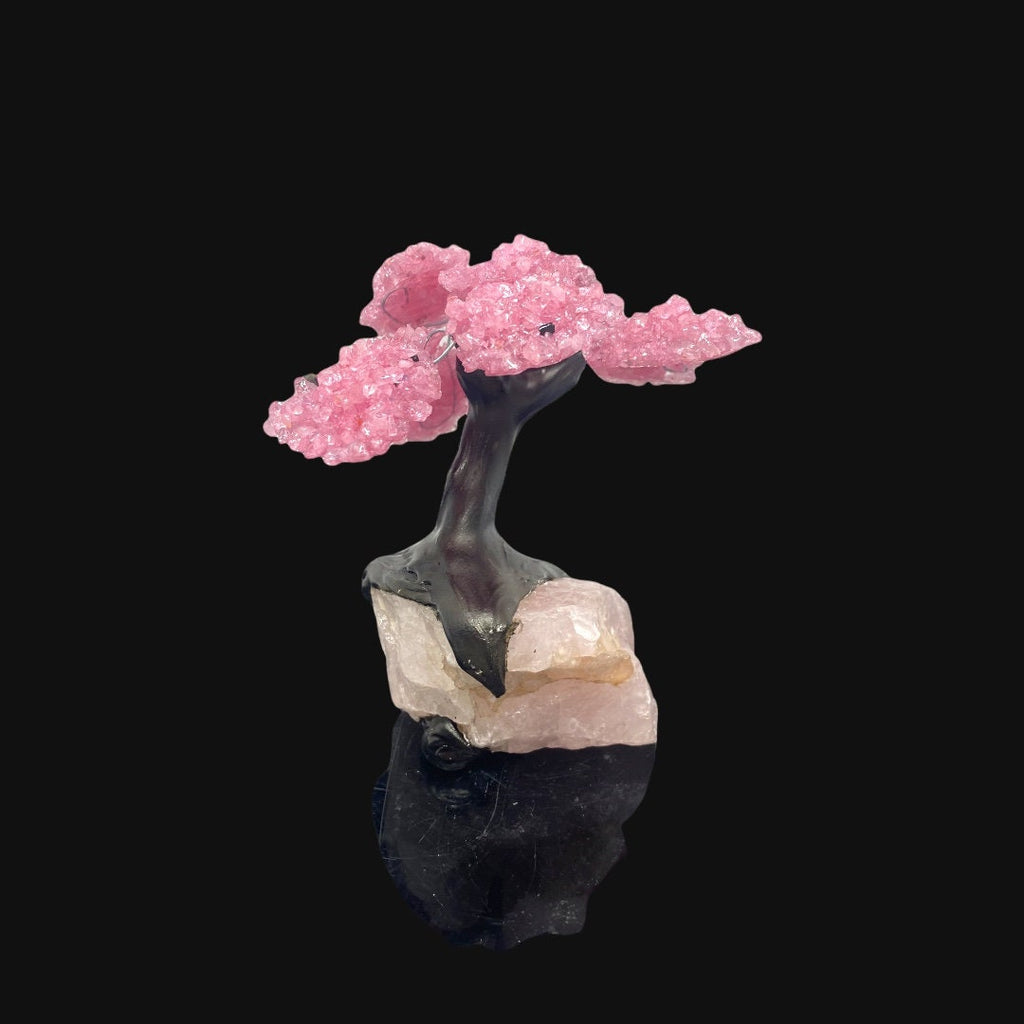 9 Branch Medium Rose Quartz Clustered Gemstone Tree on Rose Quartz Rough  (The Relaxation Tree)