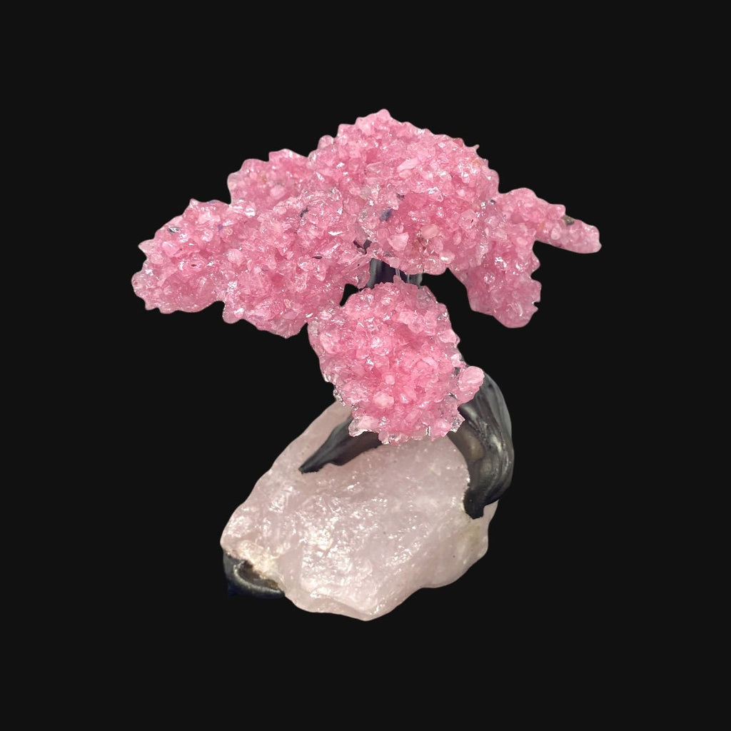 9 Branch Medium Rose Quartz Clustered Gemstone Tree on Rose Quartz Rough  (The Relaxation Tree)