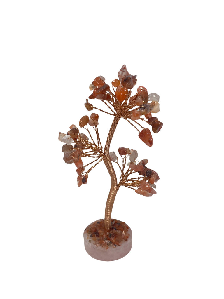 Carnelian  Clustered on Rose Quartz Base Gemstone Tree