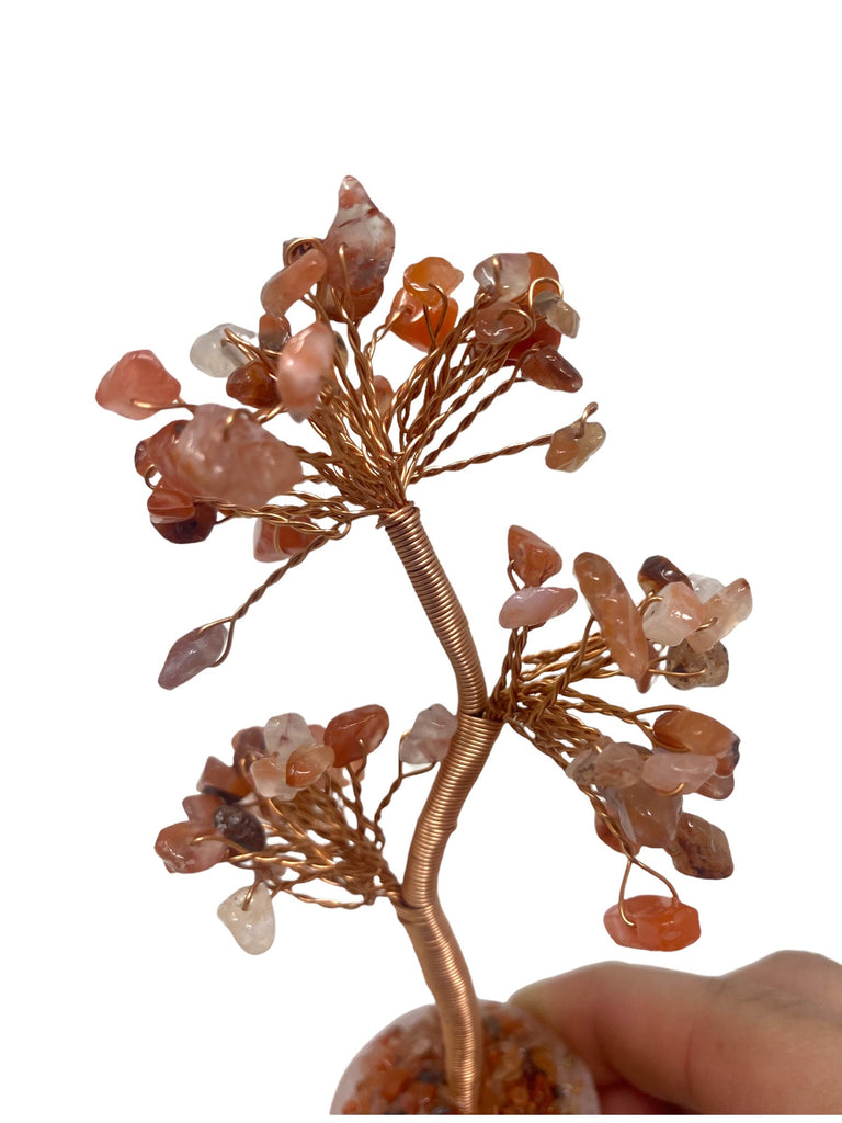 Carnelian  Clustered on Rose Quartz Base Gemstone Tree