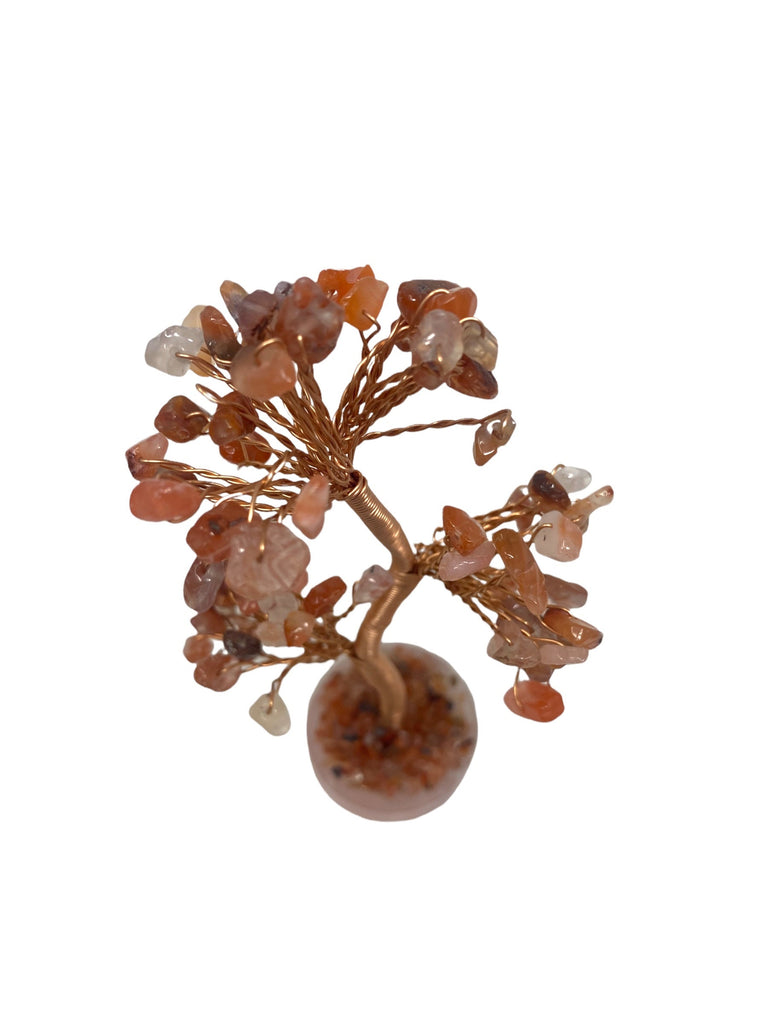 Carnelian  Clustered on Rose Quartz Base Gemstone Tree