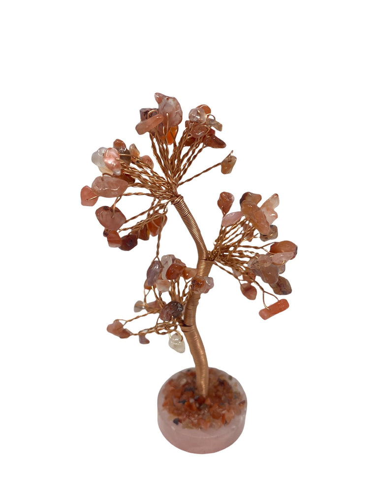 Carnelian  Clustered on Rose Quartz Base Gemstone Tree
