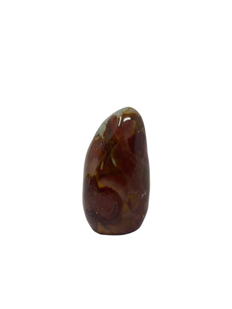 Polychrome Jasper 615grams